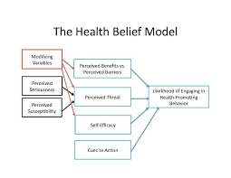 File The Health Belief Model Pdf Health Belief Model Intro To Psychology Health Economics