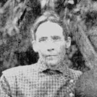 Willie Frances Hendrix (1864–1939)