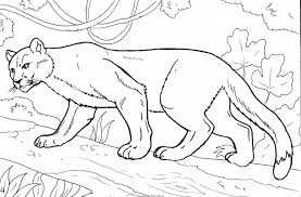 Select from 35970 printable crafts of cartoons, nature click the puma coloring pages to view printable version or color it online (compatible with ipad and. Puma Coloring Pages To Download And Print For Free
