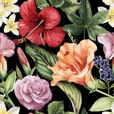 We did not find results for: Seamless Floral Pattern With Tropical Flowers Watercolor Vector Illustration Royalty Free Cliparts Vectors And Stock Illustration Image 96018392