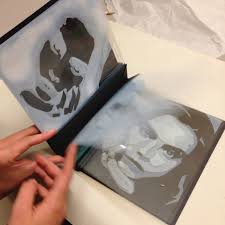 Preservation Services at Dartmouth College: February 2016