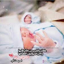 Return of the territory's lions مدبلج. ØµÙˆØ± Ù…Ø¨Ø±ÙˆÙƒ Ø§Ù„Ù…ÙˆÙ„ÙˆØ¯ Ø®Ù„ÙÙŠØ§Øª Ù…Ø¨Ø§Ø±ÙƒÙ‡ Ø¨Ø§Ù„Ù…ÙˆÙ„ÙˆØ¯ Ø§Ù„Ø¬Ø¯ÙŠØ¯ Ø§Ø±ÙˆØ¹ ØªÙ‡Ø§Ù†ÙŠ Ø§Ù„Ù…ÙˆÙ„ÙˆØ¯ Ø§Ù„Ø¬Ø¯ÙŠ Ù‡Ø¨Ù‡ Ø´Ù„Ø¨ÙŠ