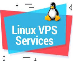 Vps India Vps Hosting Linux And Windows Vps Server 55 Offer Top Hosting Companies Hosting Company Basic Website