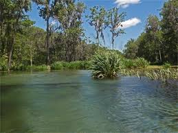 It boasts picturesque views in a. Water Resource Protection Continues On Santa Fe And Ichetucknee Rivers