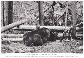 Image result for deadfall trap