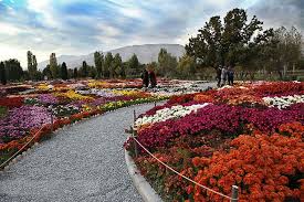 باغ گیاه شناسی تهران ؛ سفر به دور دنیا در چند ساعت - سفرزون