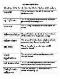 Cells Plant And Animal Cells With Digital Science Activities Science Cells Science Biology Homeschool Science