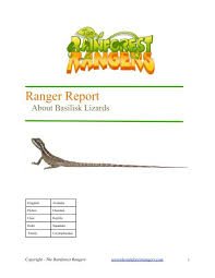 I never thought i'd say this, but we're a lizard family! Reptile Basilisk Lizards The Rainforest Rangers