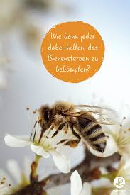 10 Tipps Fur Ein Bienenparadies Im Eigenen Garten Schmetterlingspflanzen Bienen Garten