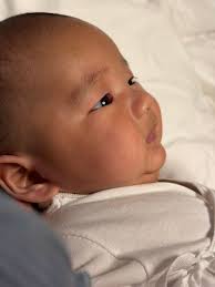 Rosemarie Tan Pamulaklakin...