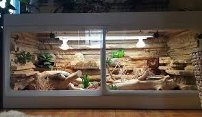 Kunststoff terrarium forex terrarium 150x70x70 technik kasten. Kunststoffterrarium Standard Terrarium Terraristik Shop