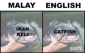 What S Ikan Patin In English Here Are 17 Translations Of Fish Malaysians Love Fish Fish Names Ikan Patin