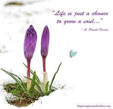 Pin On Quotes