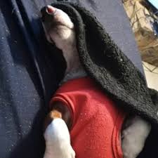 Stream Noah Sorrells music