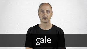 A gale of laughter filled the room. Gale Definition And Meaning Collins English Dictionary