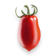 Image result for tomato Datterino