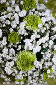We did not find results for: Wedding Bouquet With Little White Flowers Stock Photo Picture And Royalty Free Image Image 4349535