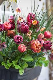 Another option is a weekly application of liquid fertilizer at. Best Plants For Window Boxes To Create A Stunning Display Container Gardening Flower Pots Window Box Plants
