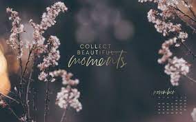 Fondo de pantalla, wallpaper pc, background pc, backgrounds. Kostenlose Wallpaper Entdecke Jeden Monat Neue Motive Jo Judy