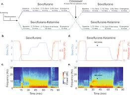 Delta Oscillations Phase Limit Neural Activity During