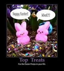 You will enjoy these famous easter quotations & sayings are you looking for funny easter memes? Happy Easter Quotes Funny Relatable Quotes Motivational Funny Happy Easter Quotes Funny At Relatably Com