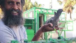 El Moro Pigeon Show. "Jack Berkey s line of White Homing Pigeons".