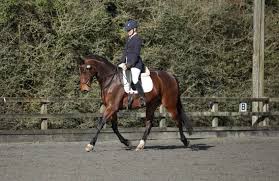 Profile for Becky Vale Dressage