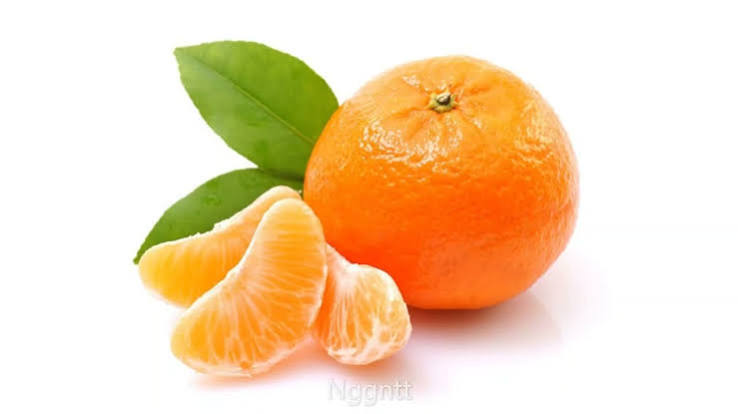 quả qu&yacute;t Tiếng Anh l&agrave; g&igrave;