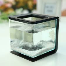 Making of very cheapest fish tank for guppy and betta fries which give good growth to fries. Malaysia Brand Mini Open Office Desktop Fish Aquarium Fish Tank Plastic Free Shipping Plastic Spoon Tank Membraneplastic Jesus Aliexpress