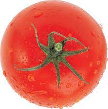 Red Tomatoes Domatesler