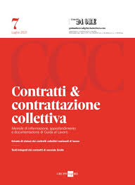 Ogni tipologia ha delle caratteristiche ben precise, sia estetiche che pratiche. Guida Al Lavoro Il Sole 24 Ore