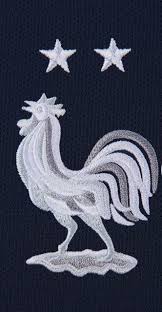 La chaîne l'équipe est une chaîne de télévision nationale sportive française du groupe amaury. Les 2 Etoiles De L Equipe De France Logo Equipe De France Equipe De France France Football