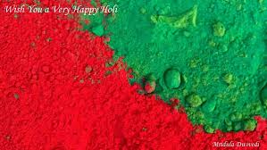 Image result for happy holi