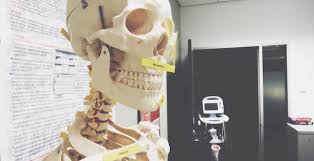 Where will your health and medicine major take you? So You Want To Be An Orthopedic Physician Assistant