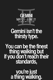 Gemini Even We Get Stupid For That One But Once You Fudge That Up Gemini Zodiac Gemini Quotes Gemini