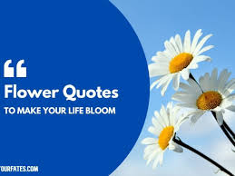 There is something so special about flowers. 110 Beautiful Flower Quotes To Make Your Life Bloom 2021