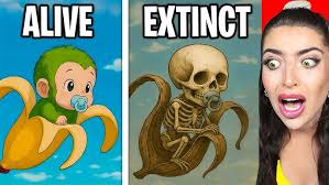 Listen Song Youtube Music