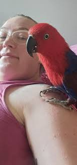 Let's welcome our new members! Danielle Bird, Claire Redfield, Peter  Ogilvie, Sandra Hira William, Debbie Smith, Michelle Colgrave, Irfan  Farook, Adi Brookes, Macy Hanson, Edith Wong