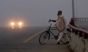 Gujarat To Face Cold Wave Till December 17: IMD - Vibes Of India