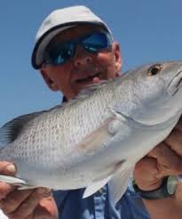 Bar Jack Fillets Shipped Fresh to Your Door Overnight