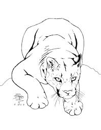 Mountain lions are members of the cat family. Mountain Lion Drawing At Paintingvalley Com Explore Collection Of Mountain Lion Drawing