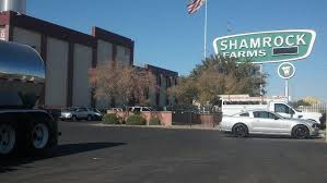 Employment decisions are made without please tell us if you require a reasonable accommodation to apply for a job or to perform your job. Shamrock Foods Company Office Photos Glassdoor