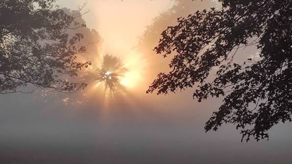 Sun rays through dense fog in Genoa