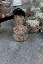 What is a mushroom kit? Growing Mushrooms At Home Mother Earth News
