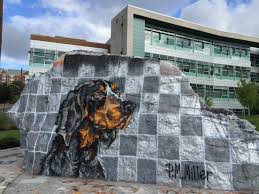 Mary Antunes' Advanced Practice Page