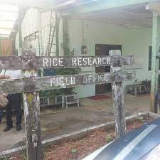 Maybe you would like to learn more about one of these? Agriculture Research Centre Semongok 1 Tip From 72 Visitors
