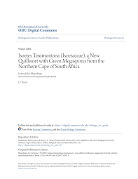 Image result for Isoetes welwitschii