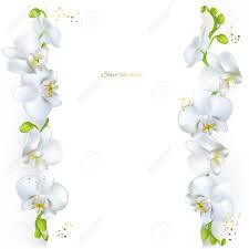 Maybe you would like to learn more about one of these? Weisse Orchideen Tropische Blumen Exotische Blumen Blumenhintergrund Karte Rahmen Grenze Vorlage Lizenzfrei Nutzbare Vektorgrafiken Clip Arts Illustrationen Image 93483123