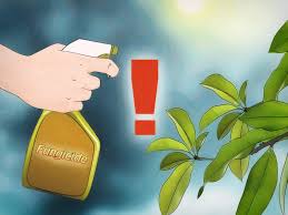 We did not find results for: 3 Ways To Care For An Injured Honeybee Wikihow