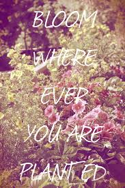 Check spelling or type a new query. Savannah Rose And To The Good Life Whatever It Is And Wherever It Happens To Be Image 936554 On Favim Com
